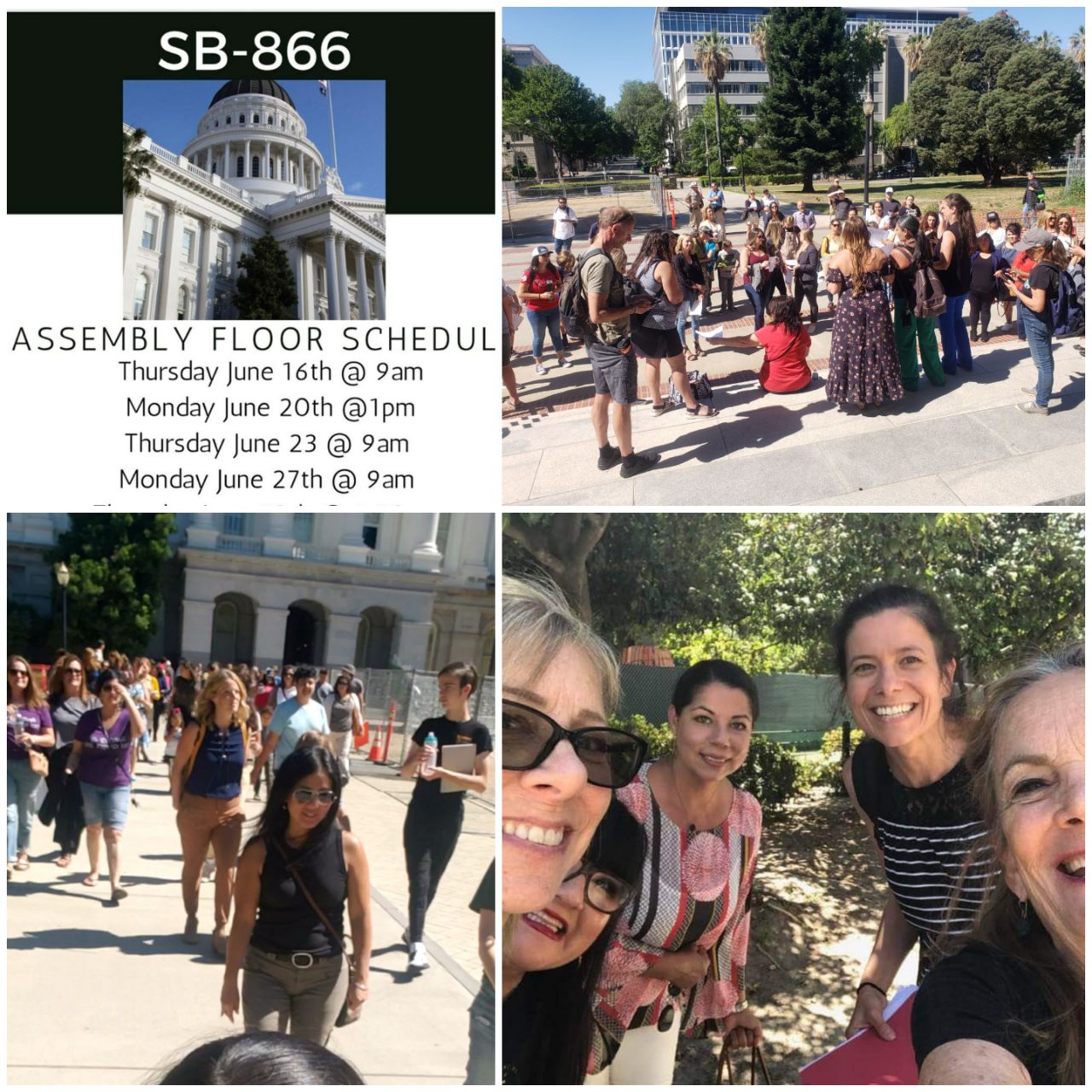 California Mama Bears Assemble at The State Capitol